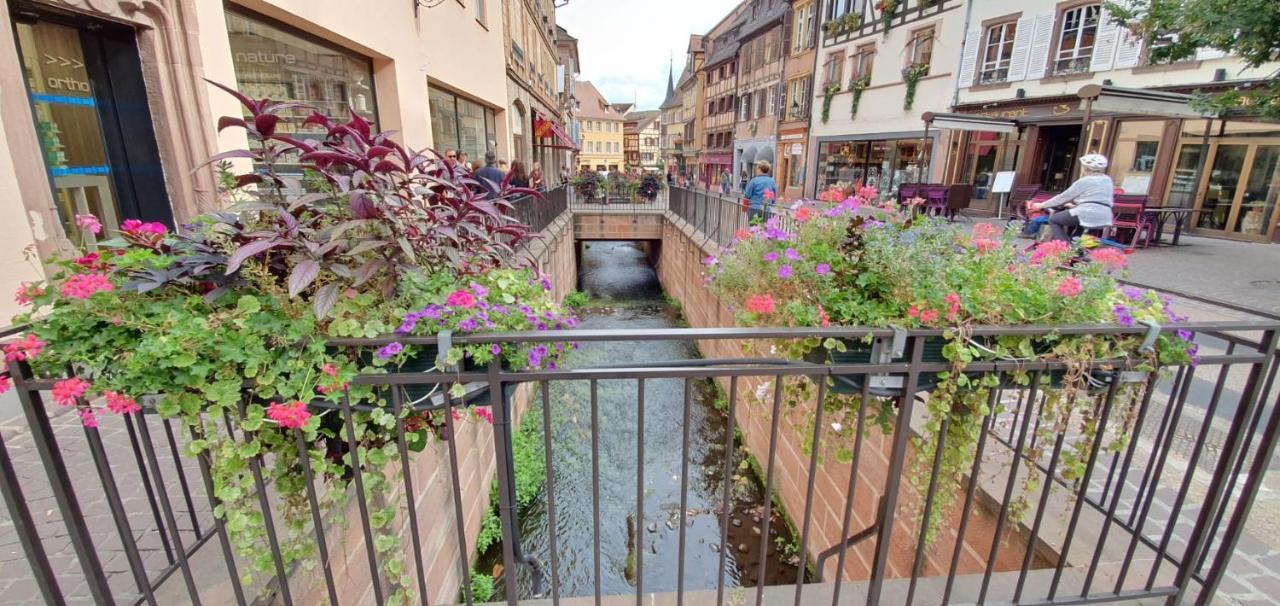 Le Green St Léon : Lit Queen Size * WIFI * Idéal Couple Colmar Esterno foto