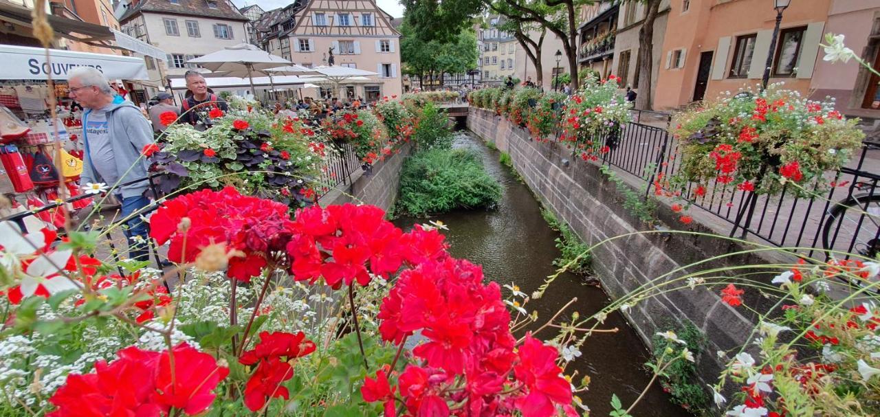 Le Green St Léon : Lit Queen Size * WIFI * Idéal Couple Colmar Esterno foto