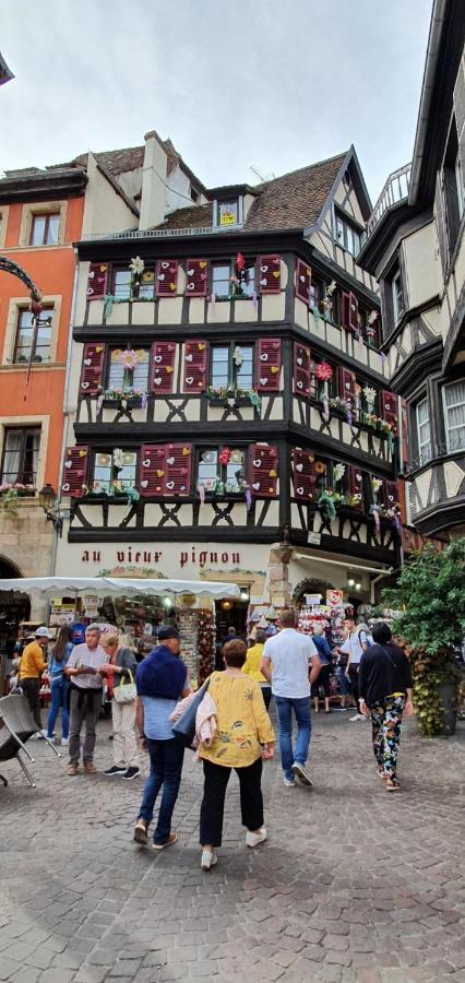 Le Green St Léon : Lit Queen Size * WIFI * Idéal Couple Colmar Esterno foto
